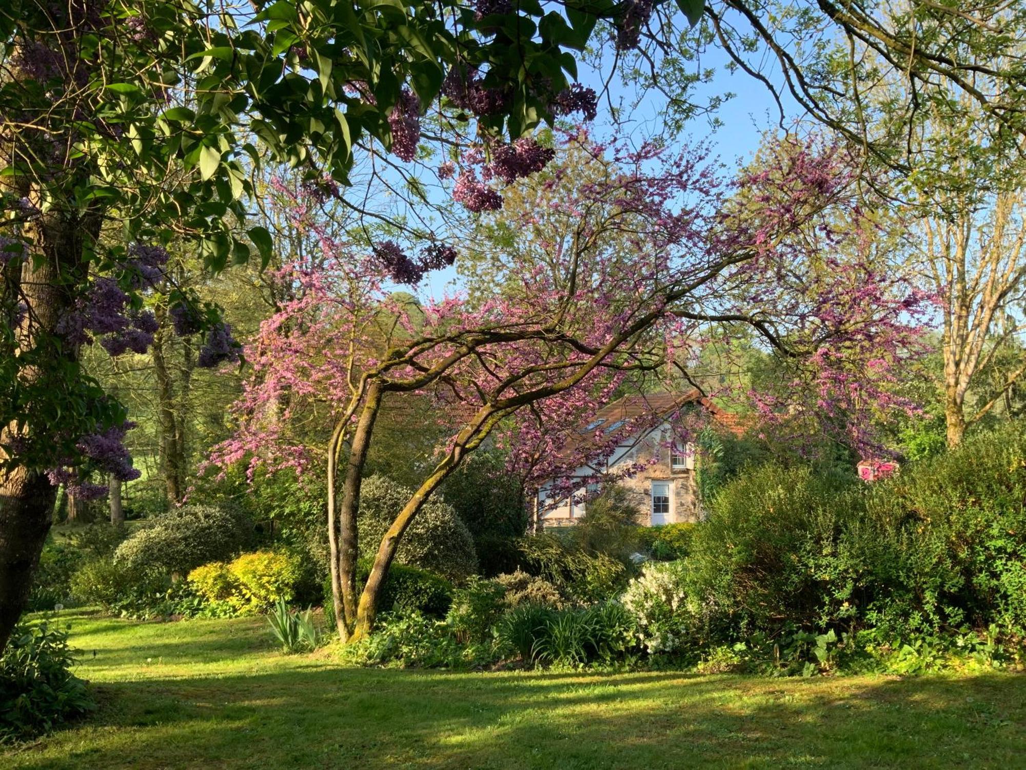 Le Moulin De La Castellerie Bed and Breakfast Moon-sur-Elle Buitenkant foto